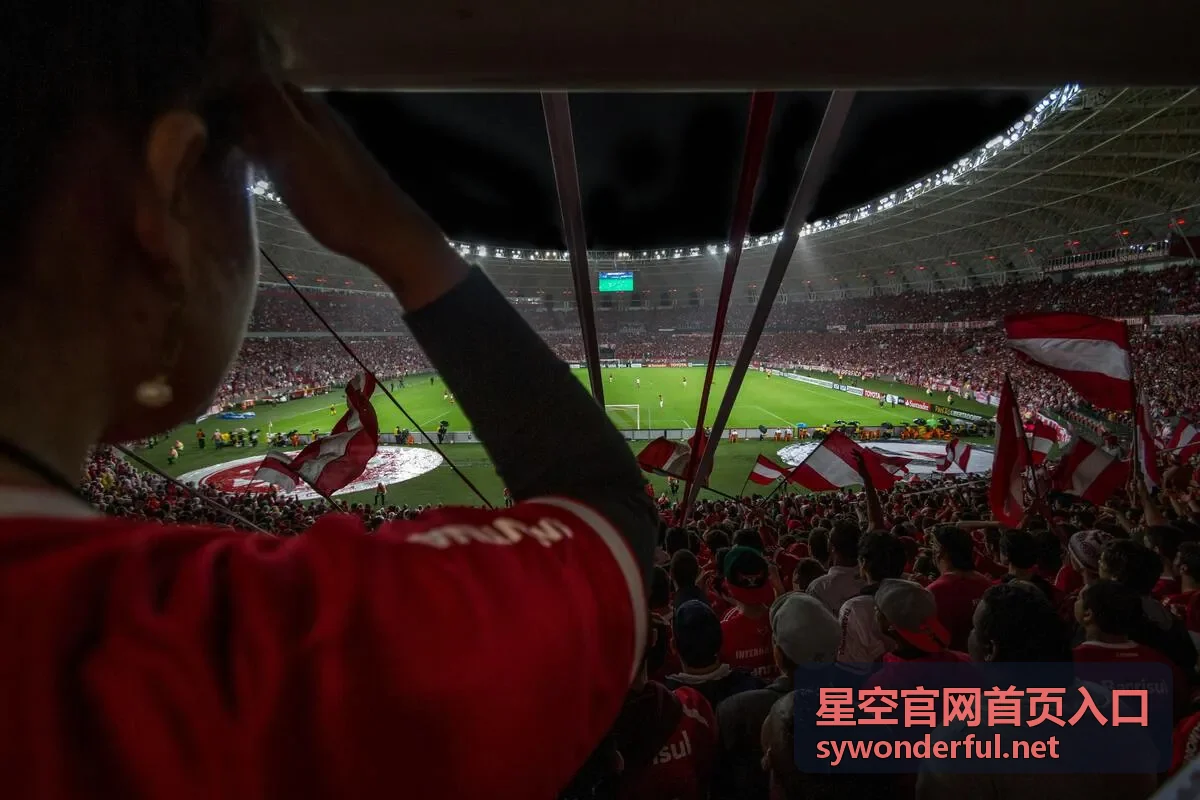 星空官网首页入口的登录与账号专题封面